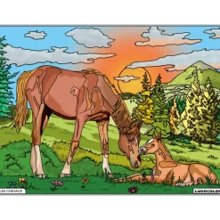 Enfant LUDOCOLOR COLORIAGE JUMENT & POULAIN
