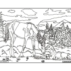 Enfant LUDOCOLOR COLORIAGE JUMENT & POULAIN