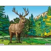 Enfant LUDOCOLOR COLORIAGE LE CERF