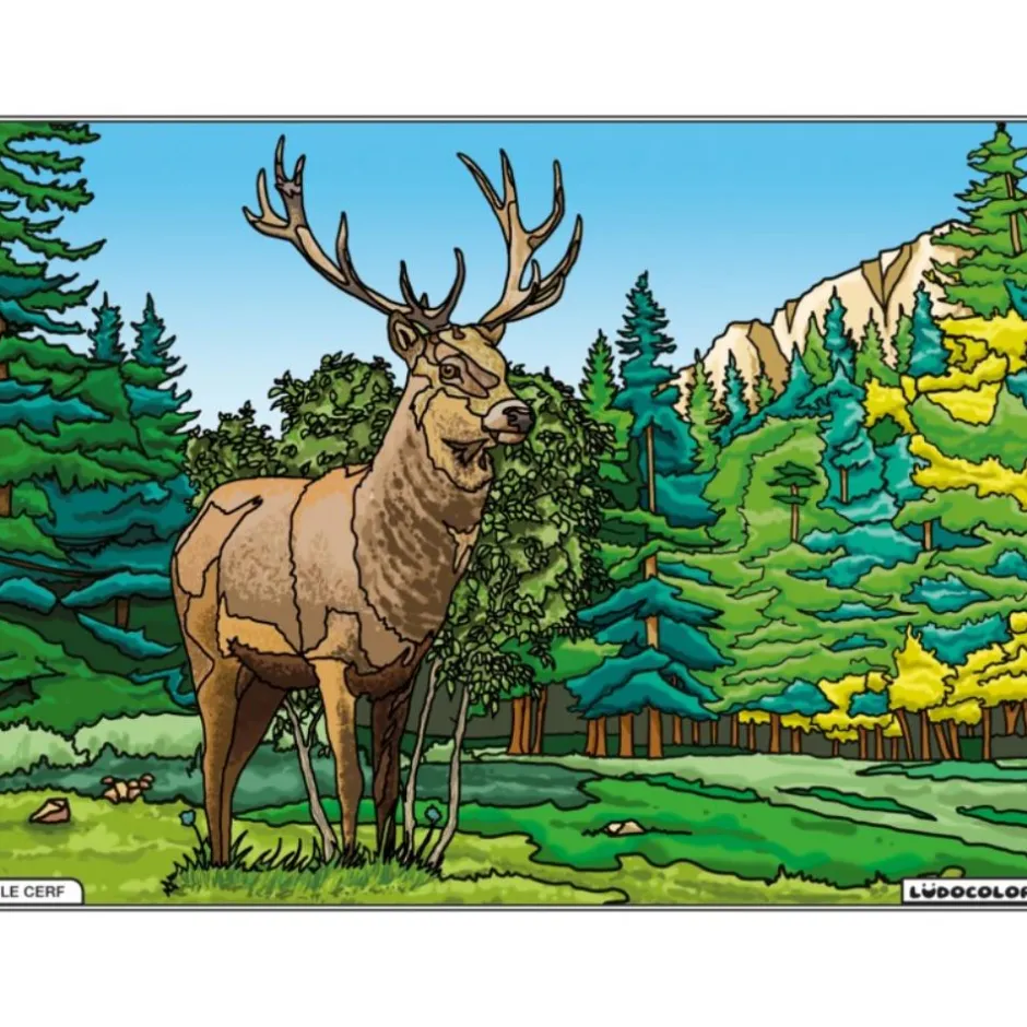Enfant LUDOCOLOR COLORIAGE LE CERF