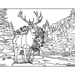 Enfant LUDOCOLOR COLORIAGE LE CERF