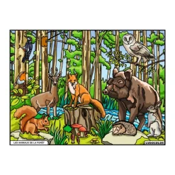 Enfant LUDOCOLOR COLORIAGE LES ANIMAUX DE LA FORET