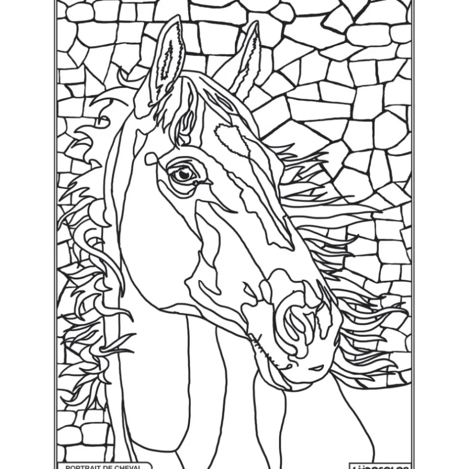Enfant LUDOCOLOR COLORIAGE PORTRAIT DE CHEVAL