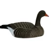 TERZEO CHASSEURS COQUILLE OIE CENDREE HD GAGNAGE