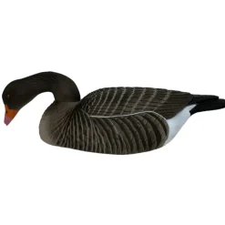 TERZEO CHASSEURS COQUILLE OIE CENDREE HD MANGEUSE