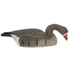 TERZEO CHASSEURS COQUILLE OIE RIEUSE HD GAGNAGE