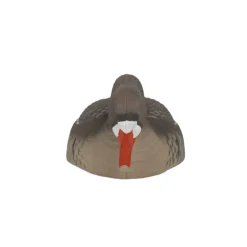 TERZEO CHASSEURS COQUILLE OIE RIEUSE HD GAGNAGE