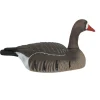 TERZEO CHASSEURS COQUILLE OIE RIEUSE HD MANGEUSE