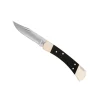 BUCK COUTEAU HUNTER N110 MANCHE EBENE