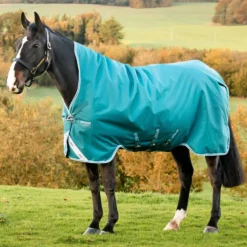 HORSEWARE COUVERTURE EXTERIEUR AMIGO BRAVO 12 400G