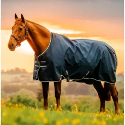 HORSEWARE COUVERTURE EXTERIEUR AMIGO IMPERMEABLE 200GR