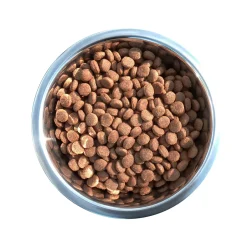 EVERLAND CROQUETTES WOLPY CHASSE 20KG