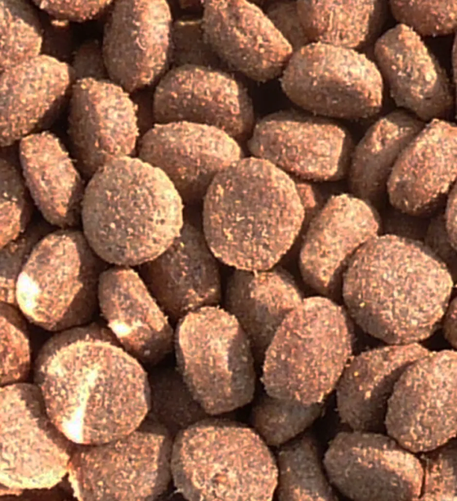 EVERLAND CROQUETTES WOLPY CHASSE 20KG