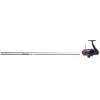 DAIWA ENSEMBLE CARPE CARPE 10 PIEDS 3LBS + MOULINET FREIN AVANT