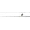 DAIWA ENSEMBLE SPINNING LAGUNA 2,70M 14/42G