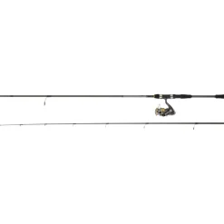 DAIWA ENSEMBLE SPINNING LAGUNA 2,40M 14/42G