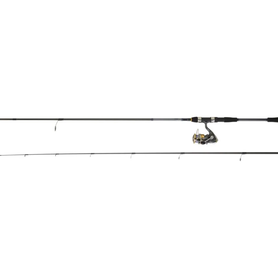 DAIWA ENSEMBLE SPINNING LAGUNA 2,40M 14/42G