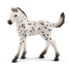 Enfant SCHLEICH FIGURINE POULAIN KNABSTRUPPER
