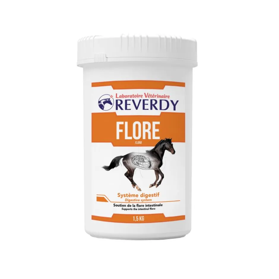 REVERDY FLORE INTESTINALE POUDRE