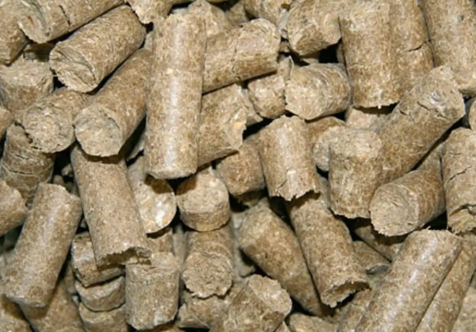 KERBL FRIANDISE DELIZIA 1KG