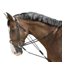 RIDING WORLD GOGUE POULIES HAVANE