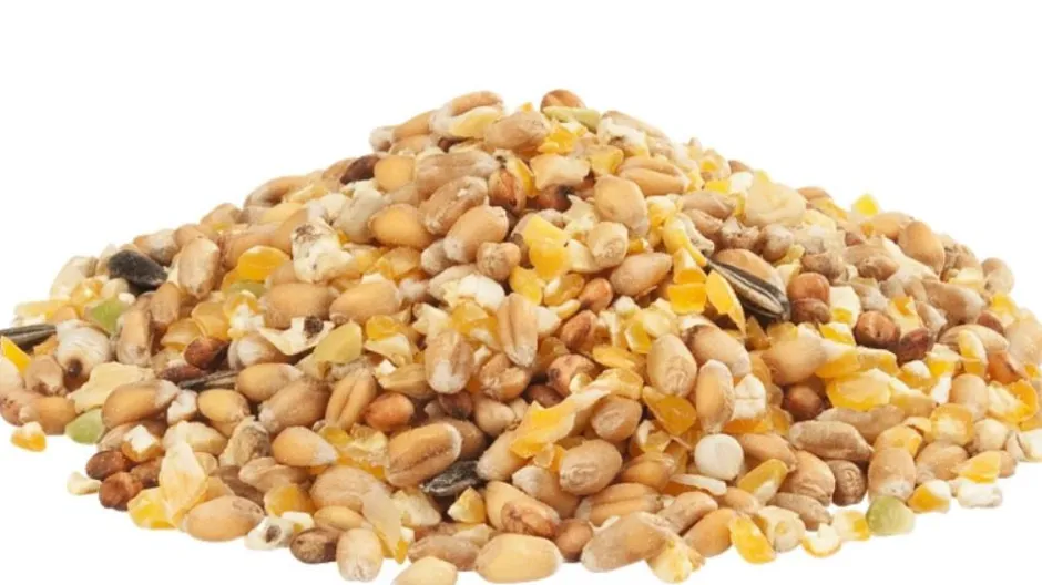 VERSELE LAGA GRA-MIX POULES D'ARDENNES 20KG