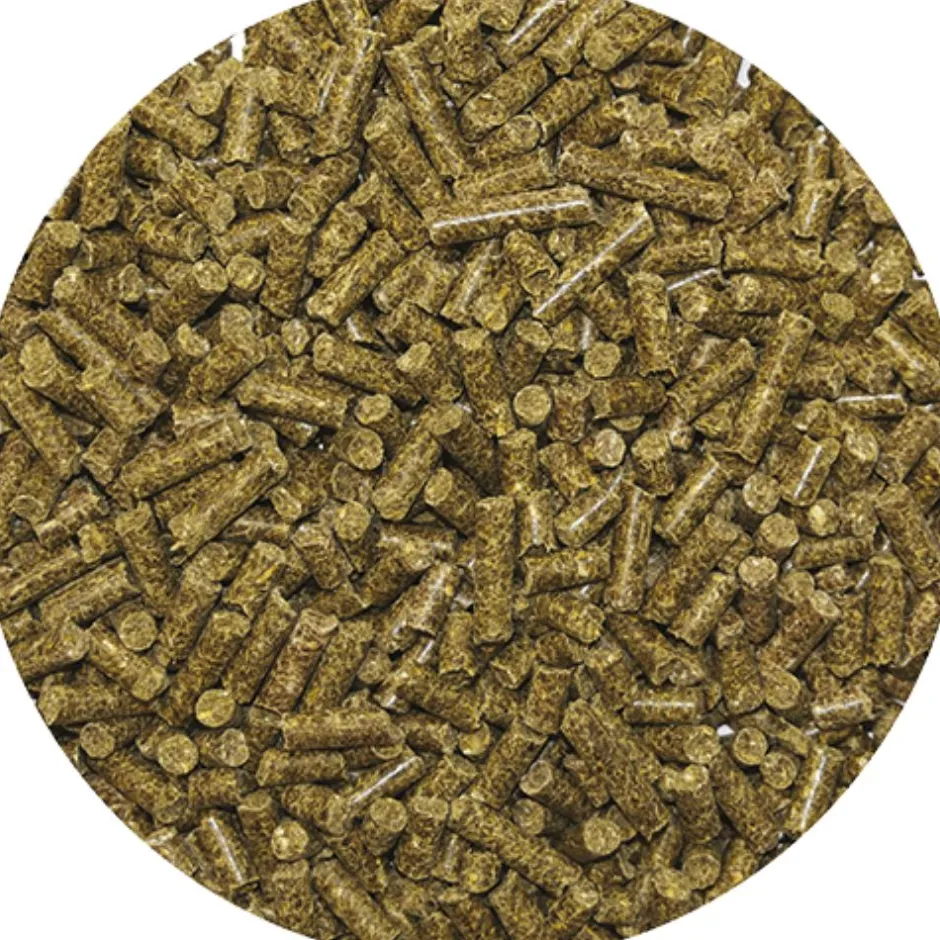 REVERDY GRANULE ADULT SPECIFIC ENERGY 20KG