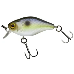 ILLEX LEURRE CHUBBY 3.8CM 4G