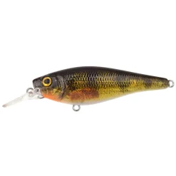 SPRO LEURRE IKIRU SHAD SL 7CM 10G