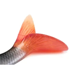 FOX RAGE LEURRE REPLICANT ULTRA REAL 10CM