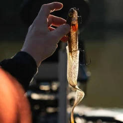 FOX RAGE LEURRE SOUPLE SLICK EEL LOADED 21CM