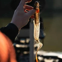 FOX RAGE LEURRE SOUPLE SLICK EEL LOADED 28CM