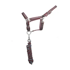 T DE T LICOL + LONGE BORDEAUX/GRIS