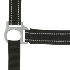 NORTON LICOL REFLECTIVE CHEVAL
