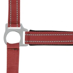 NORTON LICOL REFLECTIVE CHEVAL