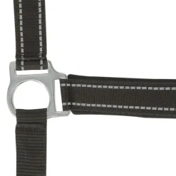 NORTON LICOL REFLECTIVE CHEVAL