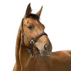 NORTON LICOL REFLECTIVE PONEY
