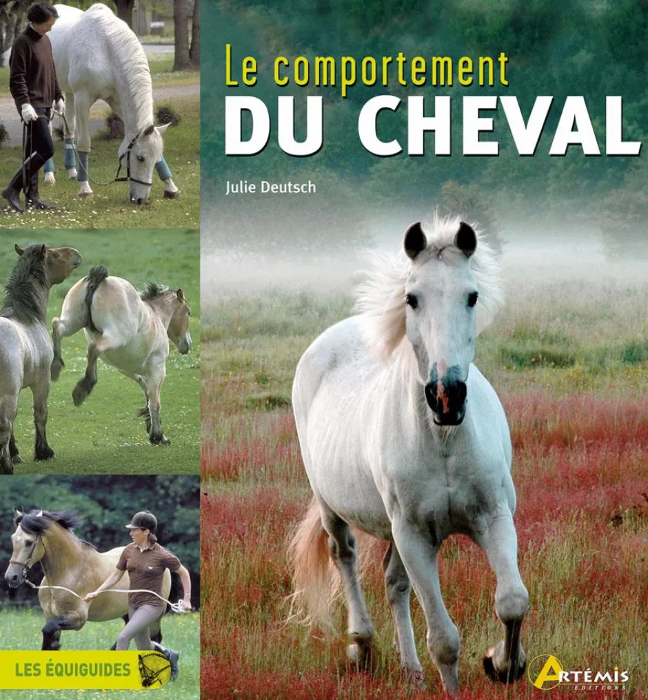 ARTEMIS LIVRE COMPORTEMENT DU CHEVAL