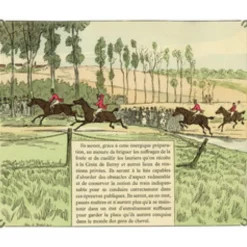 EDITION DE MONTBEL LIVRE L'EQUITATION PAR CRAFTY