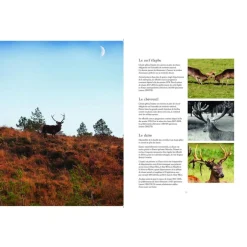 EDITION GERFAUT LIVRE VENAISON 40 RECETTES CERF, BICHE, CHEVREUIL