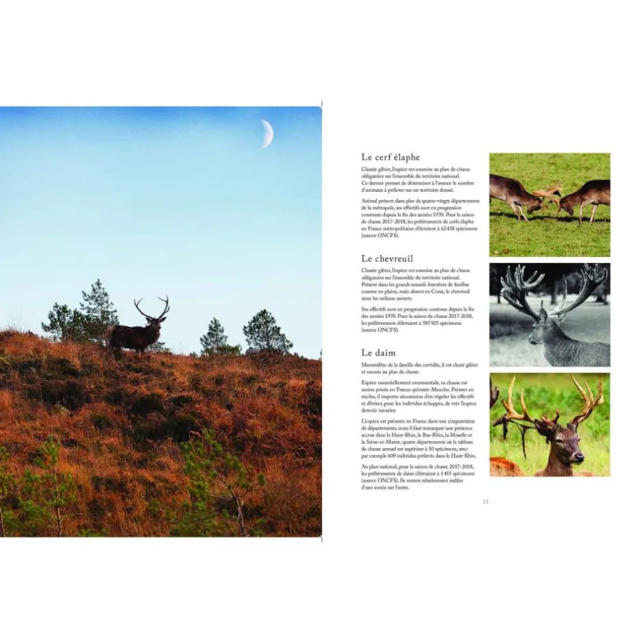 EDITION GERFAUT LIVRE VENAISON 40 RECETTES CERF, BICHE, CHEVREUIL