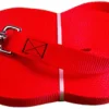 HB DOG LONGE PLATE ORANGE 5M