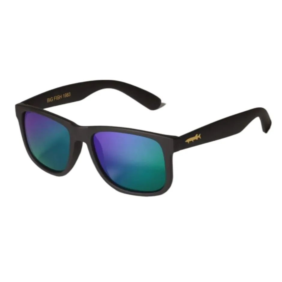 BIG FISH LUNETTES POLARISANTES EASY FISH