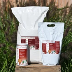 NATURAL INNOV NATURAL'IMMUNE