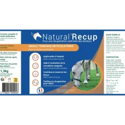 NATURAL INNOV NATURALRECUP