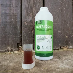 RAVENE NUTRI'COOL 900ML