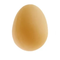OLBA OEUF FACTICE CAOUTCHOUC