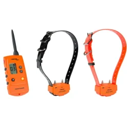 NUM'AXES EDUCATION PACK CANICOM 1000 ORANGE - 2 CHIENS