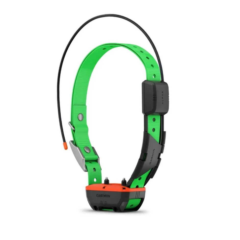 GARMIN PACK GPS ALPHA 10 ET COLLIER TT25F