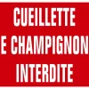 KROMA PANNEAU AKILUX CUEILL.CHAMPIGNONS